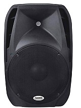 AUDIEN SM-10112   PA 12”, 1 