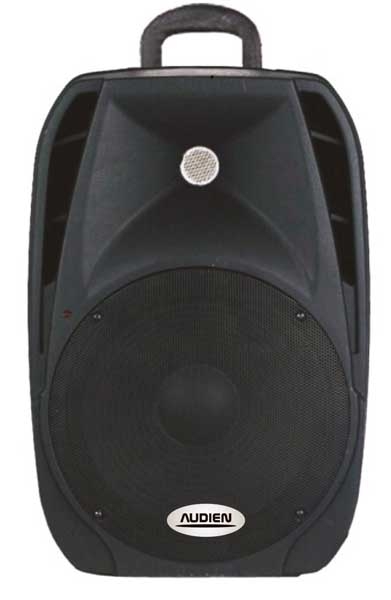 AUDIEN SM-10108   PA 8”, 1 