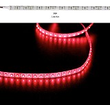 ADELEQ 30-34241112 ΤΑΙΝ.LED ΛΕΥΚΗ ΑΥΤ 5m 24VDC 7.2W/m 90LED/m 3528 ΚΟΚΚΙΝ.IP54